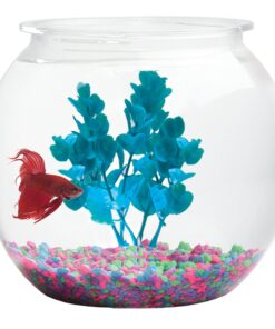 Koller Products Panaview 1-Gallon Globe Fish Bowl (BL10RFFP) 19 81t1rG4tZiL