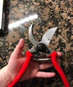 Carbon Steel Bypass Garden Shears - Ultra Sharp Blades with Safety Lock & Comfort Grip - Hand Trimmer with Sap Groove Easily Cuts Through Branches & Stems for Indoor & Outdoor Use 52 81t4ajQHWfL