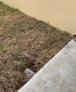 Scotts Turf Builder Grass Seed Fall Overseeding Mix, Thickens & Strengthen to Help Prevent Future Weeds, 15 lbs. 15 lb. 40 81t7GoXJuUL