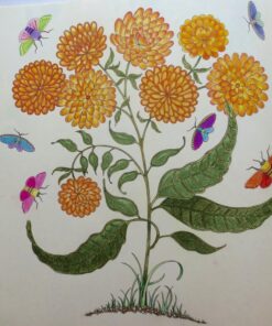 Secret Garden: An Inky Treasure Hunt and Coloring Book for Adults 106 81t9Z7ePBGL