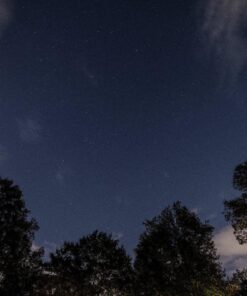 Tamron AFA012N700 SP 15-30mm f/2.8 Di VC USD Wide-Angle Lens for Nikon F(FX) Cameras Black 69 81tAiRd0QdL