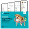 Embark Breed & Health Kit - Dog DNA Test - Discover Breed, Ancestry, Relative Finder, Genetic Health, Traits, COI 1 Count (Pack of 1) 33 81tC8uz3oaL