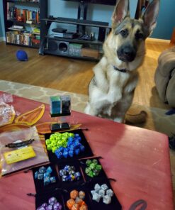 SmartDealsPro 6 x 7 Sets(42 Pieces) Double Colors Polyhedral Dice Set with Pouches for Dungeons and Dragons DND RPG MTG Table Games D4 D6 D8 D10 D12 D20 (6-Colors Set 2) Color 1 39 81tDWXcSB1L