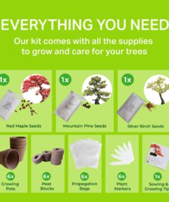 Plant Theatre Bonsai Tree Kit - Indoor Plant Growing Kit w/ 3 Mini Bonsai Seed Packs, 6 Pots, 6 Peat Discs and 6 Propagator Bags - Gardening Gifts for Men, Women and Room Decor - Crafts for Adults 31 81tDvmWIqL