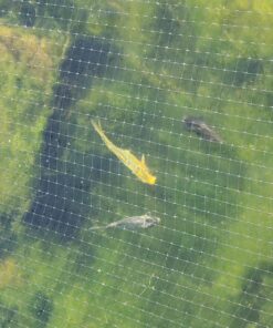 GreenClean pH DOWN Granular - 1 lb - pH Adjuster for Koi Ponds and Water Features. Safe for Fish, Plants, Pets and Wildlife. pH Adjuster -DOWN 6 81tE2tBVwbL