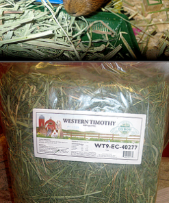 Oxbow Animal Health Western Timothy Hay - All Natural Hay for Rabbits, Guinea Pigs, Chinchillas, Hamsters & Gerbils-Veterinarian Recommended- Digestive & Dental Health- Grown in the USA- 9lb. 9 Pound (Pack of 1) 40 81tEBDUQcLL