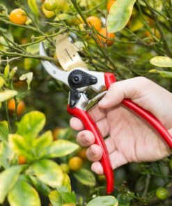 Haus & Garten ClassicPRO 8.5" Bypass Pruning Shears - Premium Garden Shears - Use As Gardening Shears, Garden Clippers, Handheld Heavy-Duty Professional Pruning Shears For Gardening & Pruning Scissors 39 81tLWQkQqRL