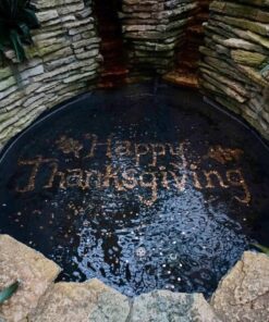 B + W Circular Polarizer Kaesemann - Xtra Slim Mount (XS-PRO), HTC, 16 Layers Multi-Resistant and Nano Coating, Photography Filter, 72 mm XS-PRO (Slim Mount) 27 81tN69vyjCL