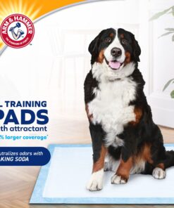 Arm & Hammer Large Pet Training and Puppy Pads 22.5-inch by 30-inch, 36-Count X-Large- 36 count 14 81tRNf8wA2S