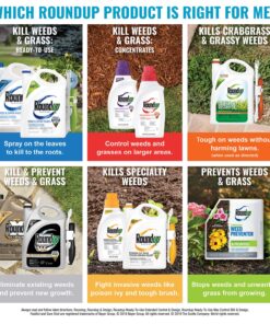 Alternative view of Roundup Super Concentrate Weed & Grass Killer - Includes Easy Measure Cap, 35.2 oz.