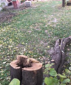 Greenworks 40V 16" Brushless Cordless Chainsaw (Great For Tree Felling, Limbing, Pruning, and Firewood / 75+ Compatible Tools), Tool Only 16" (Tool Only) Gen 1 36 81tY2MaMxlL