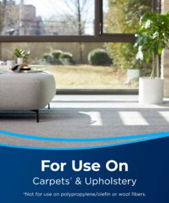 BISSELL Pet Pretreat + Sanitize Stain & Odor Remover, 1129 22 Fl Oz (Pack of 1) 13 81taWxOioyL