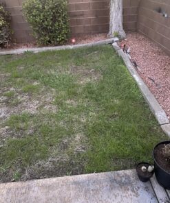 Scotts Turf Builder Grass Seed Quick Fix Mix Fast Growing Turf for a Temporary Lawn, 3 lbs. 3 lb. 54 81teBHlUML