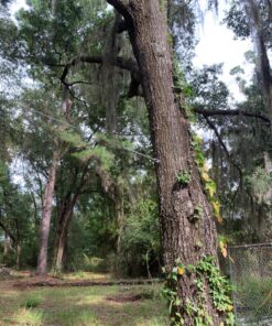 Forney 70452 Wire Rope, Vinyl Coated Aircraft Cable, 250-Feet-by-1/8-Inch thru 3/16-Inch 1/8-Inch - 3/16-Inch 37 81tfEVJZWzL