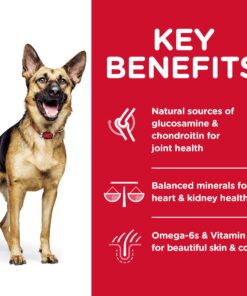 Hill's Science Diet Dry Dog Food, Large Breed Adult 6+ Senior, Chicken, Barley & Rice Recipe, 33 lb. Bag 33 Pound (Pack of 1) 18 81tlDRT9pVL