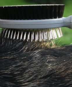 Professional Double Sided Pin & Bristle Brush for Dogs & Cats by GoPets Grooming Comb Cleans Pets Shedding & Dirt for Short Medium or Long Hair 34 81tnGhYRJDL