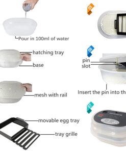 iTavah Egg Incubator, Chicken Incubators for Hatching Eggs with Automatic Egg Turning and Temperature Control, 9-12 Eggs Poultry Hatcher for Chicken Duck Bird 25 81tnrP6fusL