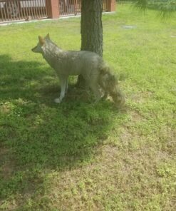 Flambeau Outdoors 5985MS-1 Lone Howler Coyote Decoy, One Size 25 81tpJ3tNTgL