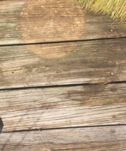 WM BARR WM BARR FG505 house-primers, 1-Gallon 39 81tpJC1hmTL