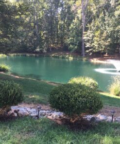 Airmax Pond Dye 4X Concentrate for Outdoor Ponds & Lakes, Natural Pond Colorant & Water Beauty Enhancer, Block Ultraviolet Rays, Fish, Bird & Livestock Safe, Easy Liquid Application, 1 Quart Twilight Blue - 1 Quart 28 81tpXA5NfdL