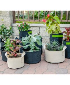 247Garden 5-Pack 1-Gallon Aeration Fabric Pot/Plant Grow Bag w/Handles (260 GSM, Black, 6H x 7D) 1 Gallon 34 81tttFgkYdL