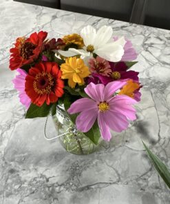 Cosmos Seeds Wildflower Mixture - Bulk Quarter Pound Bag - Over 20,000 Seeds - Pink, Yellow, Orange, Red, Purple and White Mixed Species! 1/4 Pound Bag 28 81txaHlNWoL