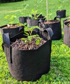 Ming Wei Garden Plant Bags / 6-Packs 5 Gallon Grow Bags/Aeration Fabric Pots/Handles (Black) Black 28 81u dpiQjCL