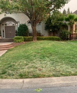 LawnLift 64 ounce Grass Paint factory 2nd with cosmetic blemishes on bottle, seal and label. May include dried paint or other unsightly blemishes on exterior of bottle. 42 81u0RvtVbmL