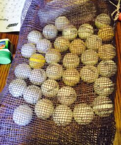 Nitro Shag Practice Golf Balls Bag with Assorted Golf Ball Brands and Models Grade AA for Practice - 96 Balls - Assorted (PRAC96ONB) 23 81u3fSZZ0vL