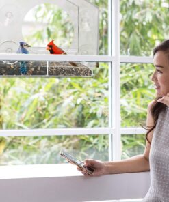 Wild Birds of Joy Bird House Window Bird Feeder with 4 Super Strong Suction Cups & Locking, Sliding Seed Tray, Extra Large, Clear Acrylic, Outdoor Bird Feeders, Outside View of Cardinal and Blue Jay 22 81u4kj1JKIL