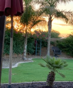 Haus & Garten ClassicPRO 8.5" Bypass Pruning Shears - Premium Garden Shears - Use As Gardening Shears, Garden Clippers, Handheld Heavy-Duty Professional Pruning Shears For Gardening & Pruning Scissors 41 81u9YkQYlgL