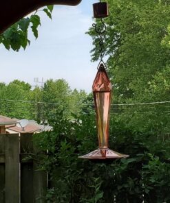 Skinny Ant Moat with Guard for Hummingbird Feeders - Gets Rid of Ants Fast in Nectar Feeder. All Natural & No Chemicals Needed. 44 81uAXh7DpL