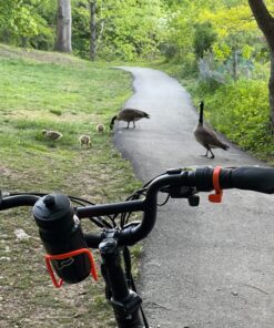 Sunlite Alloy Bicycle Water Bottle Cage, Bulk (no Hardware) Neon Orange 5 81uBSebGeGL