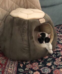 Armarkat Cat Bed, Laurel Green and Beige 43 81uCGOmvH3L