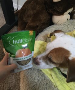 Fruitables Dog Treats Pumpkin & Apple Flavor, 7 oz 7 Ounce (Pack of 1) Pumpkin and Apple 27 81uCmUowybL