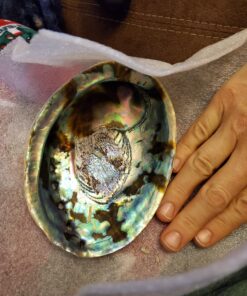 Smudge Kit - White Sage, Palo Santo, Abalone Shell, Smudging Feather, for Healing, Purifying, Meditating & Incense (Essentials) 43 81uIORpYdOL 1