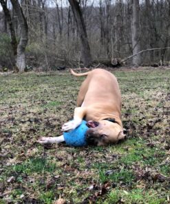 Jolly Pets Bounce-n-Play Dog Toy Ball, 8 Inches/Large, Blueberry, (Model: 2508 BB) Large (8 in) 40 81uJJS8A1nL