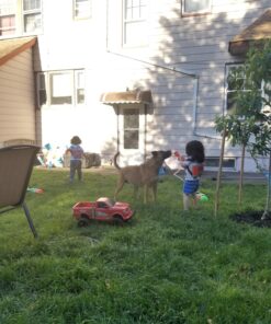 Little Kids 838 Paw Patrol Water Rescue Pack Toy , Multicolor 30 81uN0xW3dkL