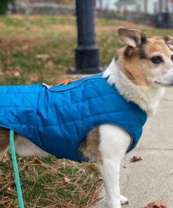 Kurgo Loft Dog Jacket, Reversible Dog Coat, Wear with Harness or Sweater, Water Resistant, Reflective, Winter Coat For Medium Dogs (Coastal Blue, M) Coastal Blue/Orange 43 81uNbxH2xOL