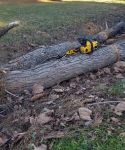 DEWALT 20V MAX* XR Chainsaw, 12-Inch, Tool Only (DCCS620B) Chainsaw Bare Tool Only 40 81uOSTX2r2L