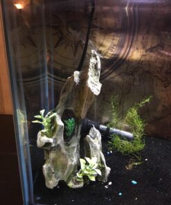 Hikari USA Inc. Ich x - Ich Treatment with More 16oz 16 oz 31 81uOiAQdL