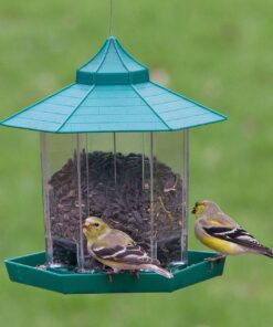 Ogrmar Hanging Gazebo Wild Bird Feeder -Perfect for Garden Decoration and Bird Watching for Bird Lover and Kids (Green) 27 81uRCHZ18qL