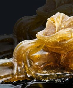 Oshiro 60mm f/2.8 2:1 LD UNC Manual Ultra-Macro Lens Compatible with Sony E-Mount a9, a7r, a7s, a7, a6600, a6500, a6400, a6300, a6000, a5100, a5000, a3500, a3000 Mirrorless Cameras (EOS-E) 63 81uT9gg5BL