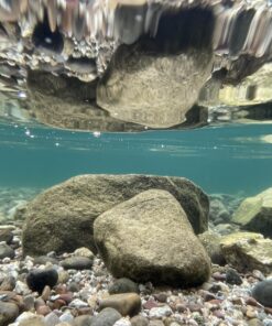 JOTO Waterproof Pouch Cellphone Dry Bag Case for iPhone 11 Pro Max Xs Max XR X 8 7 6S Plus SE, Galaxy S20 Ultra S20+ S10 Plus S10e S9 Plus S8/Note 10+ 9, Pixel 4 XL up to 6.9" -Black Black 46 81uUERn1sQL