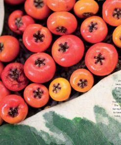 Morning Altars: A 7-Step Practice to Nourish Your Spirit through Nature, Art, and Ritual 27 81uV TEla6L