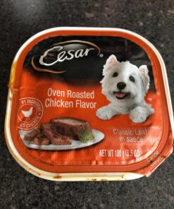 CESAR Adult Wet Dog Food Classic Loaf in Sauce Poultry Variety Pack,. Easy Peel Trays with Real Chicken, Turkey or Duck, 3.5 Ounce (Pack of 24) 3.5 Ounce (Pack of 24) multi 33 81uVf8wNSrL