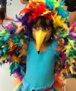 U.S. Toy Rainbow Feather Costume Wig, Multicolor, Standard, USTOD334 6 81uWKsSJFeL