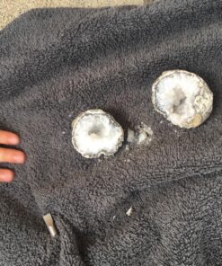 Break Your Own Geodes - Set of 12 - STEM Toy and Classroom Learning 38 81uc3UjXNFL