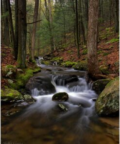 Nikon AF-P DX NIKKOR 10-20mm f/4.5-5.6G VR Lens Black Lens Only 71 81udZWualHL