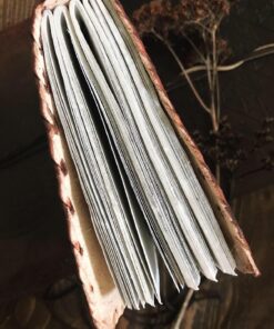 AzureGreen DOUBLE DRAGON Blank Page BOOK Handcrafted Leather Writing Unlined 5 x 7 JOURNAL (Brown) 45 81ugldpbML